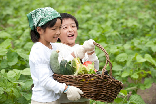 畑の中で収穫した野菜を持つ子供男女