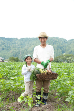 畑の中で収穫した野菜を持つ父と女の子