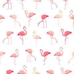 Badkamer foto achterwand Flamingo Naadloos flamingopatroon op witte achtergrond