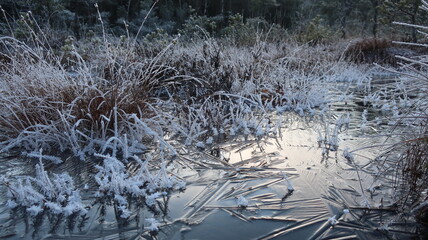 Eiskristalle
