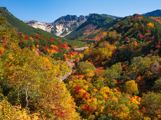 十勝岳温泉の紅葉