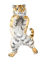 funny cute tiger. Digital illustration. New year illustration