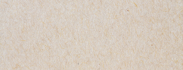 paper texture background, real cardboard pattern