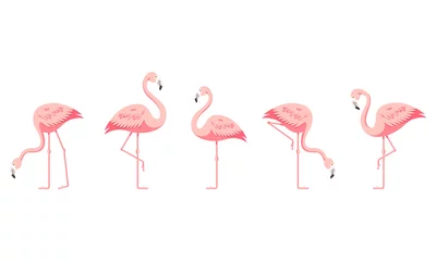 Poster de jardin Flamingo Ensemble de flamants roses