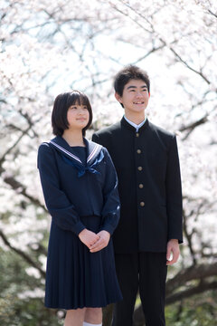 桜と中学生男女