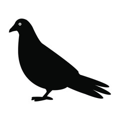 illustration of a pigeon