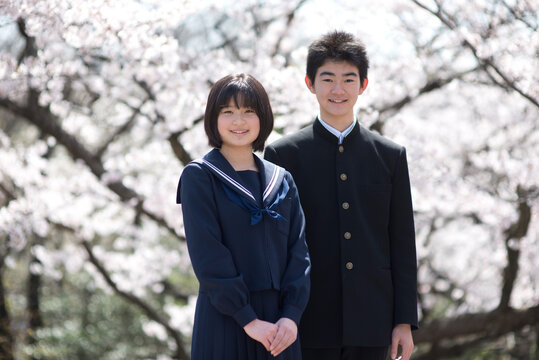 桜と中学生男女
