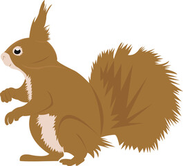 squirrel vector icon