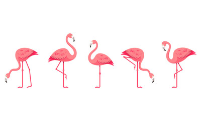 Flamingo-Set