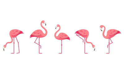 Tableaux sur verre Flamingo Ensemble de flamants roses