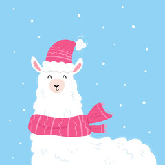 Lama with hat and scarf