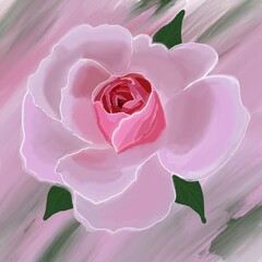 pink rose petals