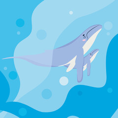 cute baby whale and whale