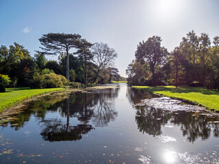 Beautiful trees reflected in a lake in a park in sunlight