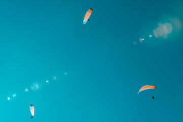 kite flying in the sky