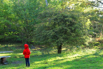 Small kid in a red hoodie sweater. Green nature outside. Back or rear towards camera. Stockholm, Sweden, Europe.