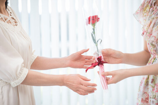 赤いカーネーションを渡す娘と母の手元