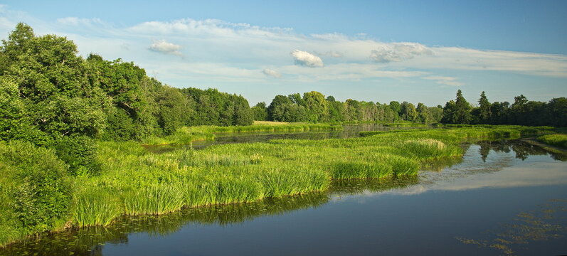 Mill pond in sunny summer day, Zana, Latvia.