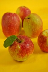 Close-up photo of fresh apples on a yellow background