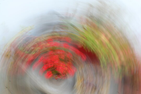 C&agrave;mara girando en velocidad y desenfoque de plantas con flores forma una ilustraci&ograve;n de dise&ntilde;o abstracto en el jard&igrave;n.