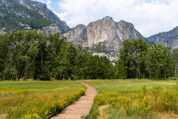 Landscape of the Cook's Meadow surrounded by rocky hills in Yosemite National Park, California