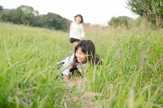 草むらで転ぶ女の子