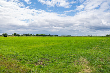 Great green grass field with white sky at borgfelder wümmewiesen, biggest nature reserve of bremen
