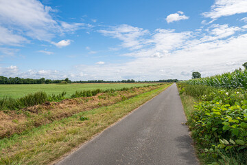 Road through great green grass field with cloudy sky at borgfelder wümmewiesen, biggest nature reserve of bremen