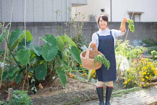 畑でにんじんとかごを持っている女性