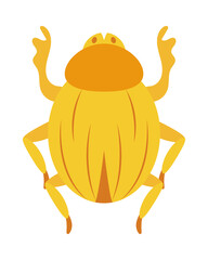 egyptian scarab icon