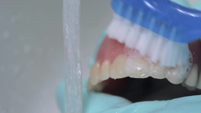 Closeup shot showing brushing of dentures with running water. Rubber gloves used for hygiene.