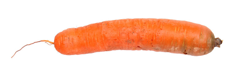 Raw orange carrot isolated on white background