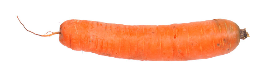 Raw orange carrot isolated on white background
