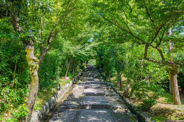 京都　高台寺の台所坂
