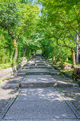 Obraz premium 京都 高台寺の台所坂