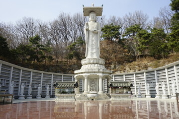 봉은사 사찰에는 부처님 동산이 있습니다.