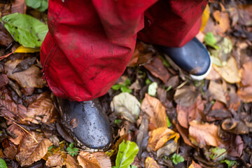 boy's legs in red jumpsuit on fallen autumn foliage after the rain. A child in rubber boots and mud is walking after the rain on wet road. Selective focus
