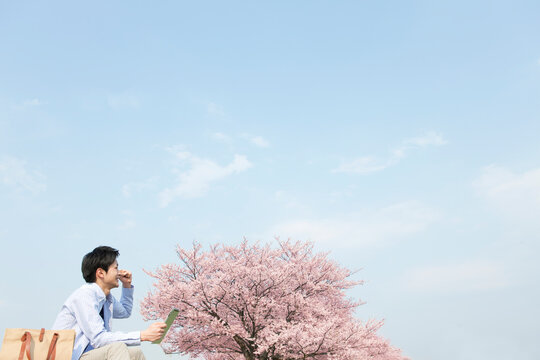 桜とタプレットPCを持つ男性
