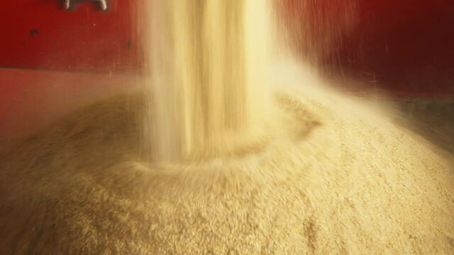 Industrial Farming. The Compound Feedstuff is falling on the ground from the big Height. Compound Feedstuff is put into one big Pile. Compound Feedstuff used for Animal Feeding. Nutrition. Agriculture