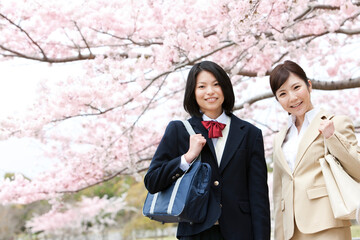 桜の下のビジネスウーマンと女子高生