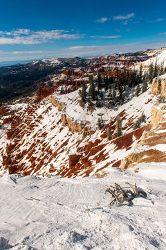 Cedar Breaks National Monument 