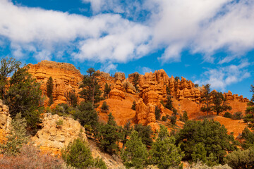Red rock canyon park