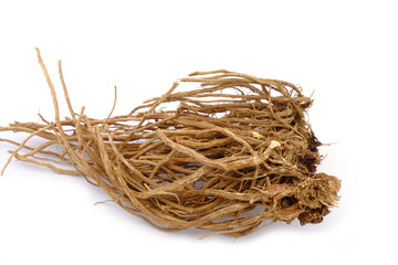 a thistle root on white background

