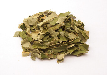 dry Nelumbo nucifera Gaertner, dried lotus leaf isolated on white background