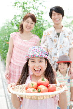 トマトを収穫した家族4人