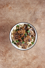 Nasi jamur. Rice mushroom or risotto with rice and mushrooms.