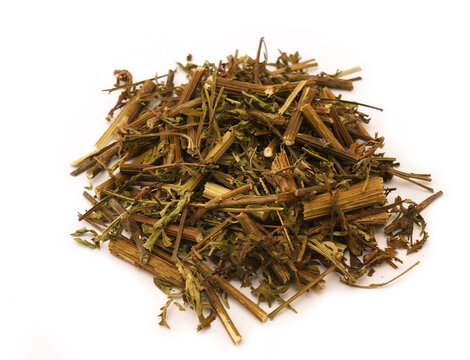 Mugwort, Redstem wormwood, dry dried medicinal flowers of an Artemisia capillaris on white background. Herbal tea.