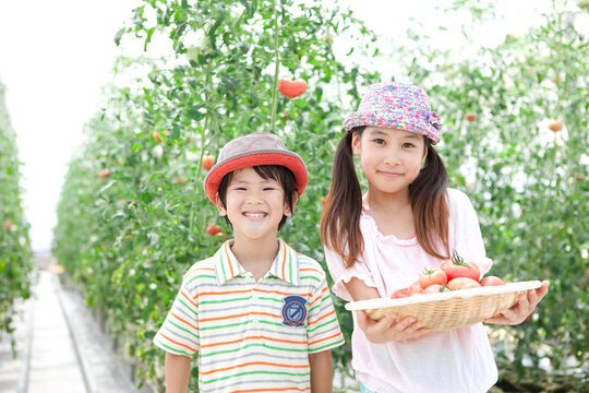 トマトを持っている男の子と女の子