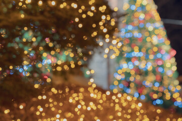 크리스마스 조명