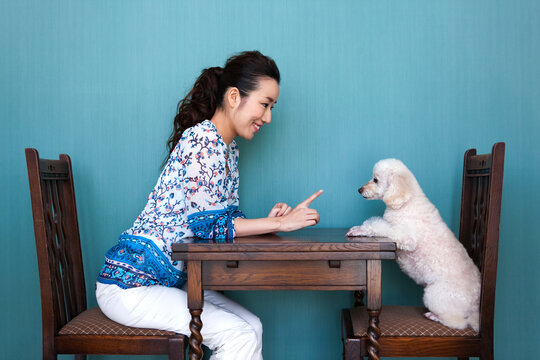 犬のしつけをする女性